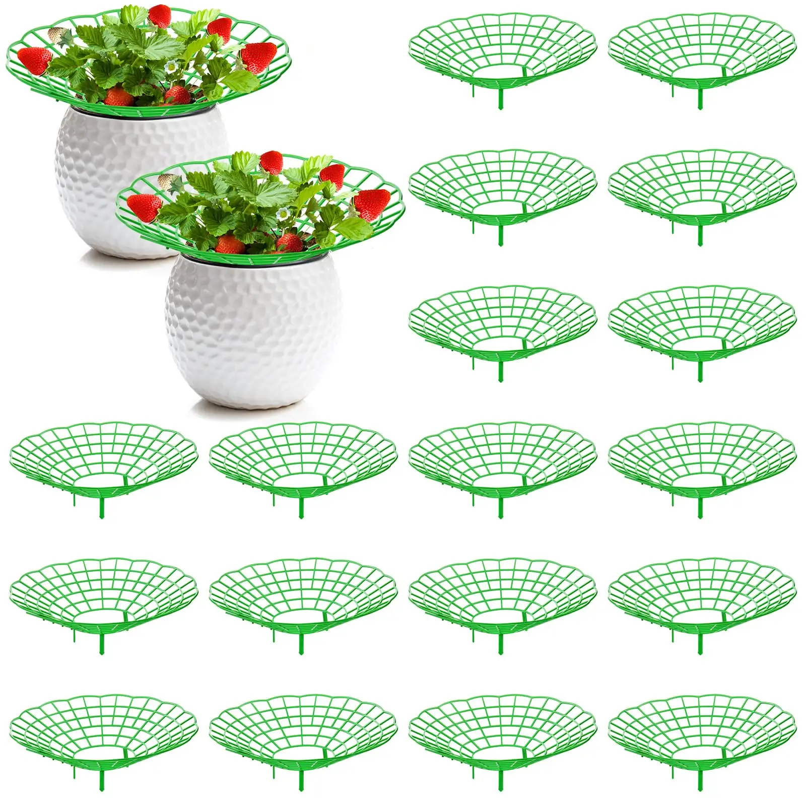 Gardening Tools Rack - 10PCS Vegetable Growing Rack Garden Tools