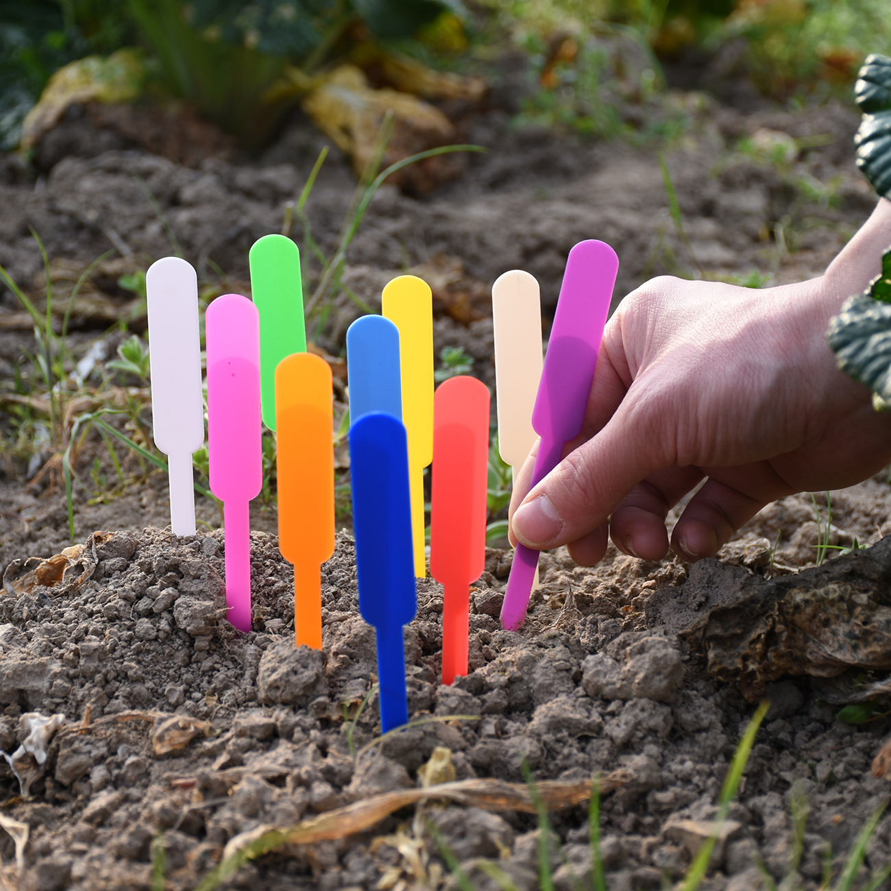 Gardening Tools Labeled - 50PCS Waterproof Plastic Plant Labels Tags