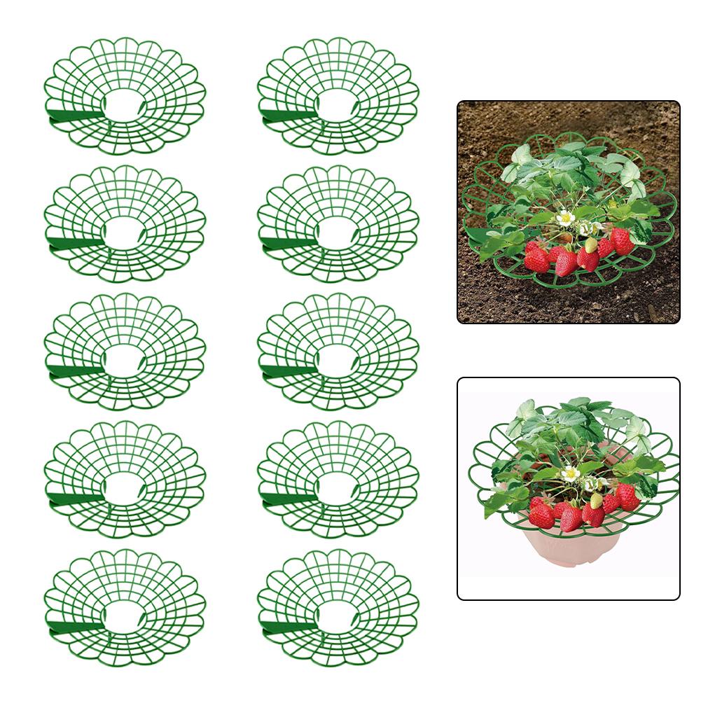 Gardening Tools Rack - 5/10PCS Round Strawberry Bracket Set Plastic