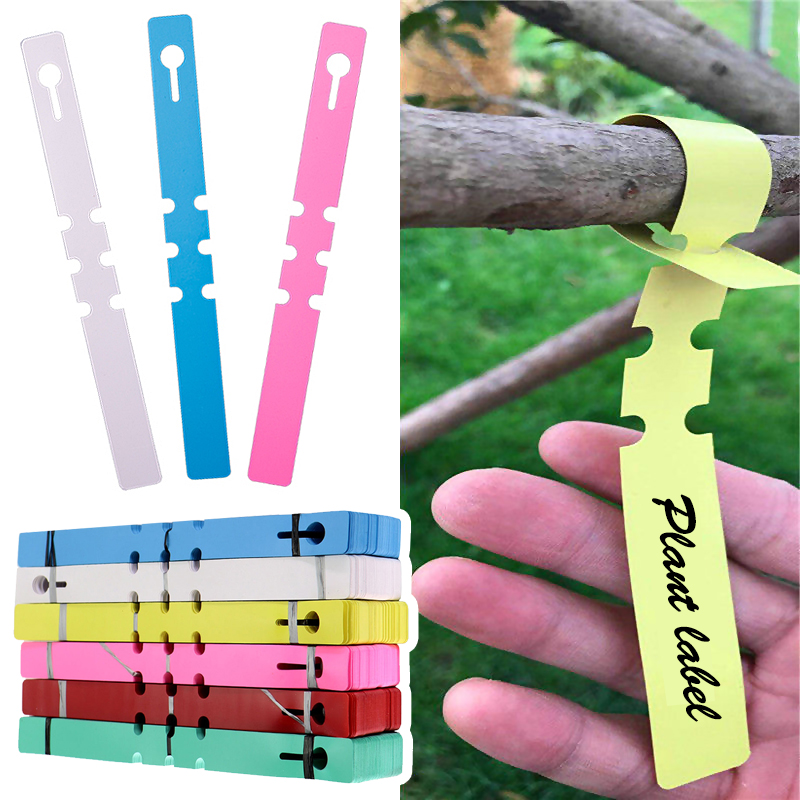 50pcs Waterproof Plant Markers - مراجعة Gardening Tools Labeled وسعره