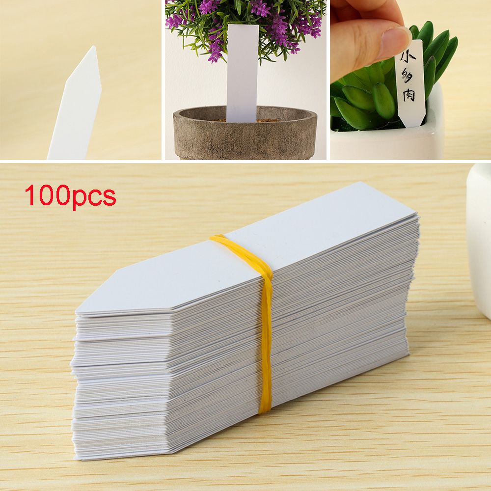 100Pcs Mini Plastic Plant Seed - مراجعة Gardening Tools Labeled وسعره