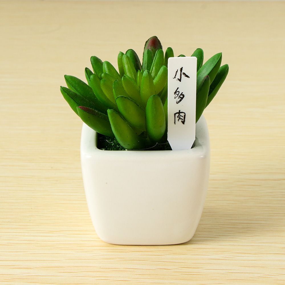 100Pcs Mini Plastic Plant Seed - مراجعة Gardening Tools Labeled وسعره
