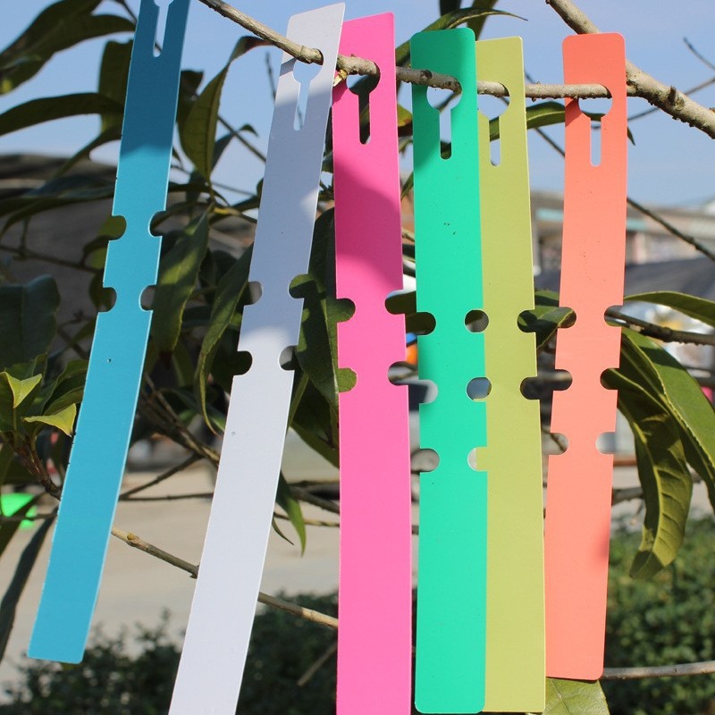 50-100pcs Garden Plant Labels  - مراجعة Gardening Tools Labeled وسعره