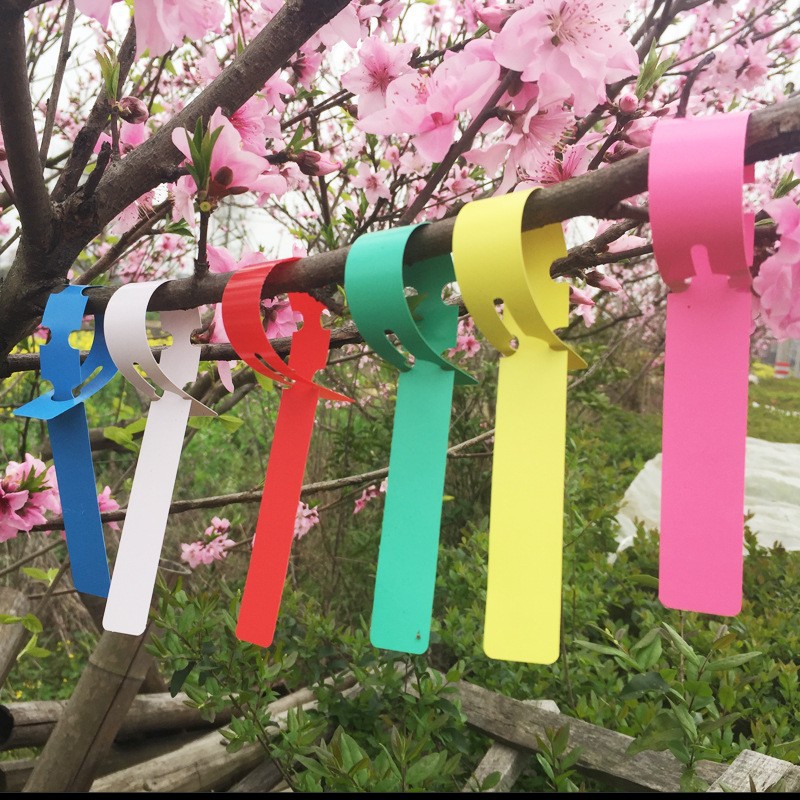 50-100pcs Garden Plant Labels  - مراجعة Gardening Tools Labeled وسعره