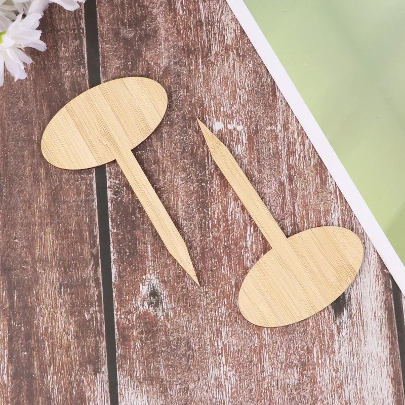 50pcs 2026 new model bamboo pl - مراجعة Gardening Tools Labeled وسعره
