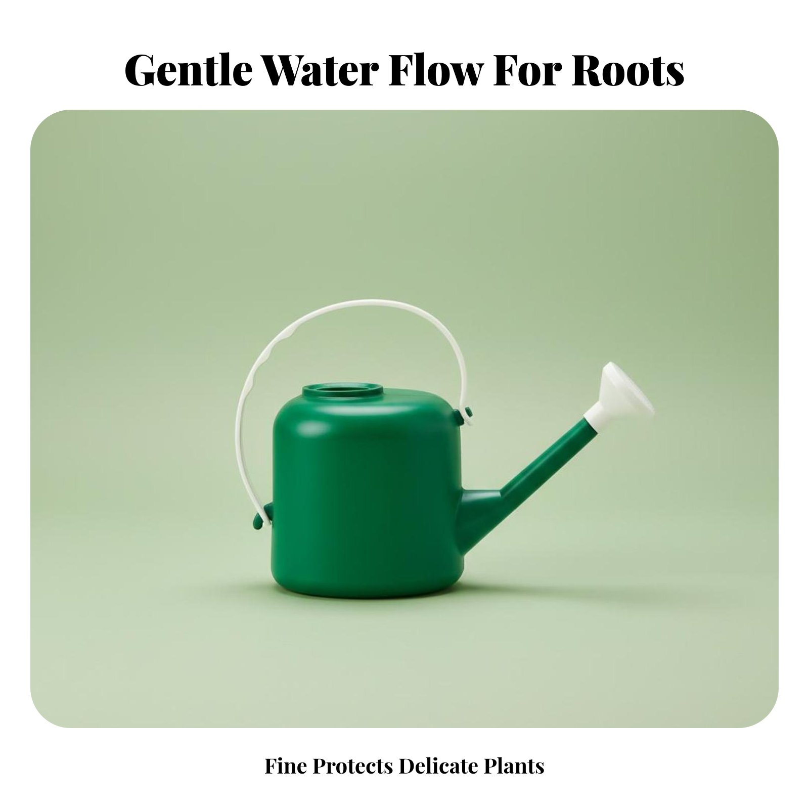 Long Spout Watering Can Large  - مراجعة Watering Can Long Spout وسعره