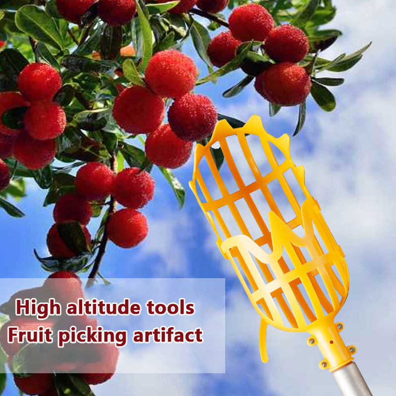 Picking Loquat Picking Bayberr - مراجعة Gardening Tools Rack وسعره