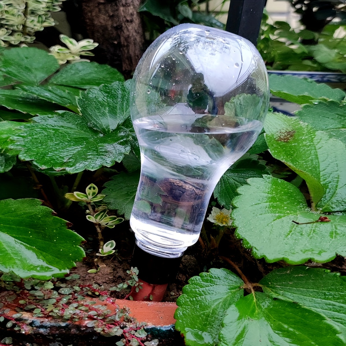 Garden Automatic Watering Tool - مراجعة Gardening Tools Diy وسعره