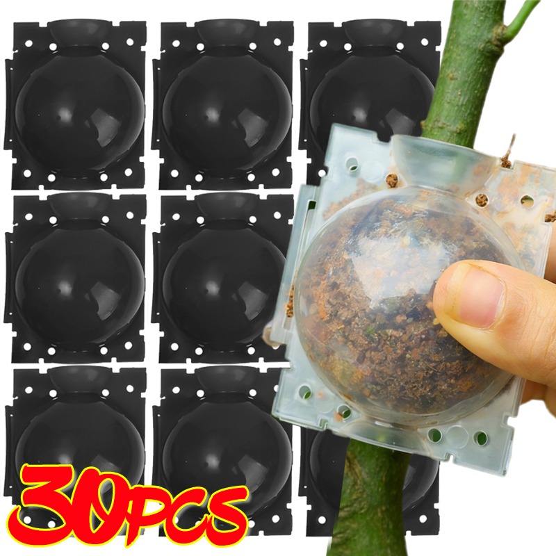 Reusable Plant Rooting Ball Gr - مراجعة Gardening Tools Rack وسعره