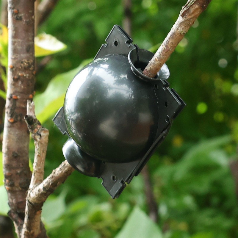 Reusable Plant Rooting Ball Gr - مراجعة Gardening Tools Rack وسعره