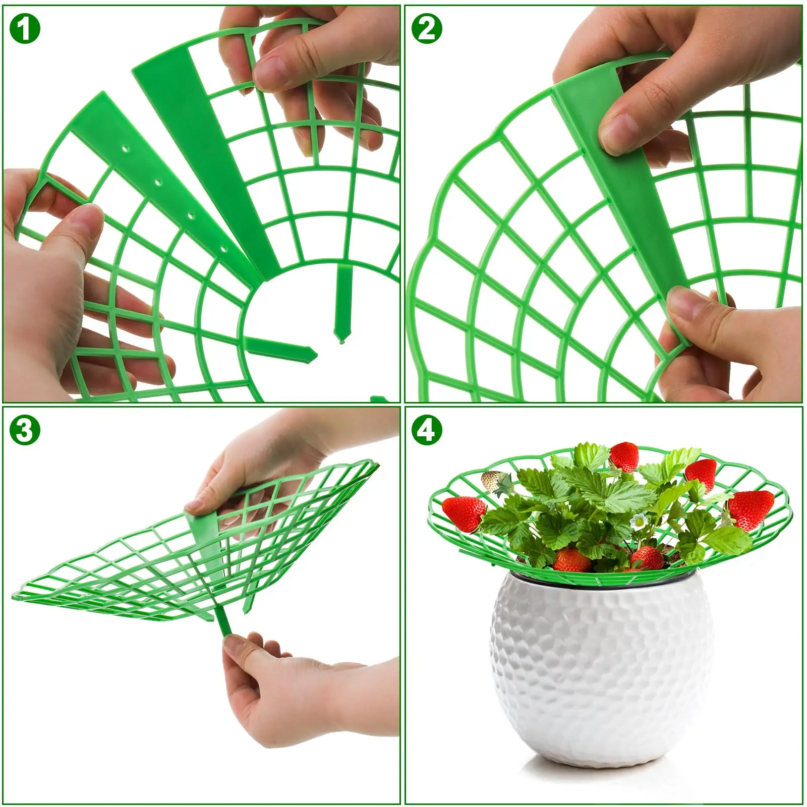 10PCS Vegetable Growing Rack G - مراجعة Gardening Tools Rack وسعره