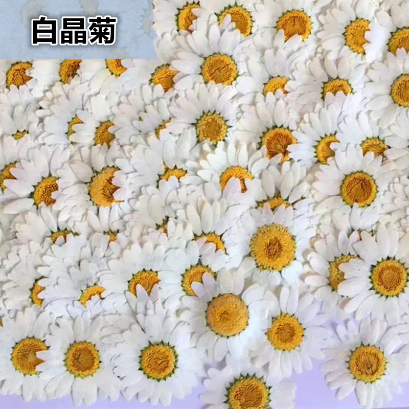 100Pcs Natural White Crystal C - مراجعة Gardening Tools Diy وسعره