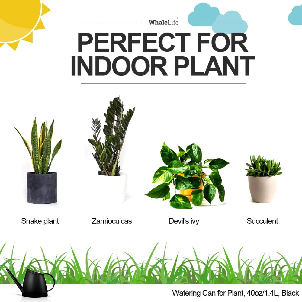 Small Indoor Watering Can for  - مراجعة Watering Can Long Spout وسعره
