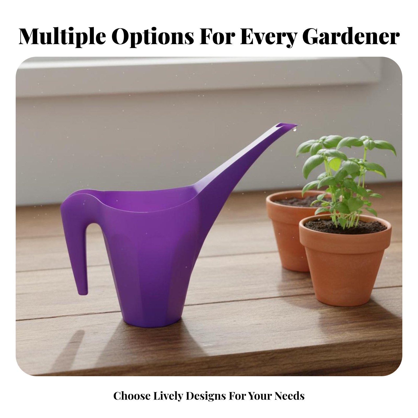 Plastic Watering Can with Spri - مراجعة Watering Can Long Spout وسعره