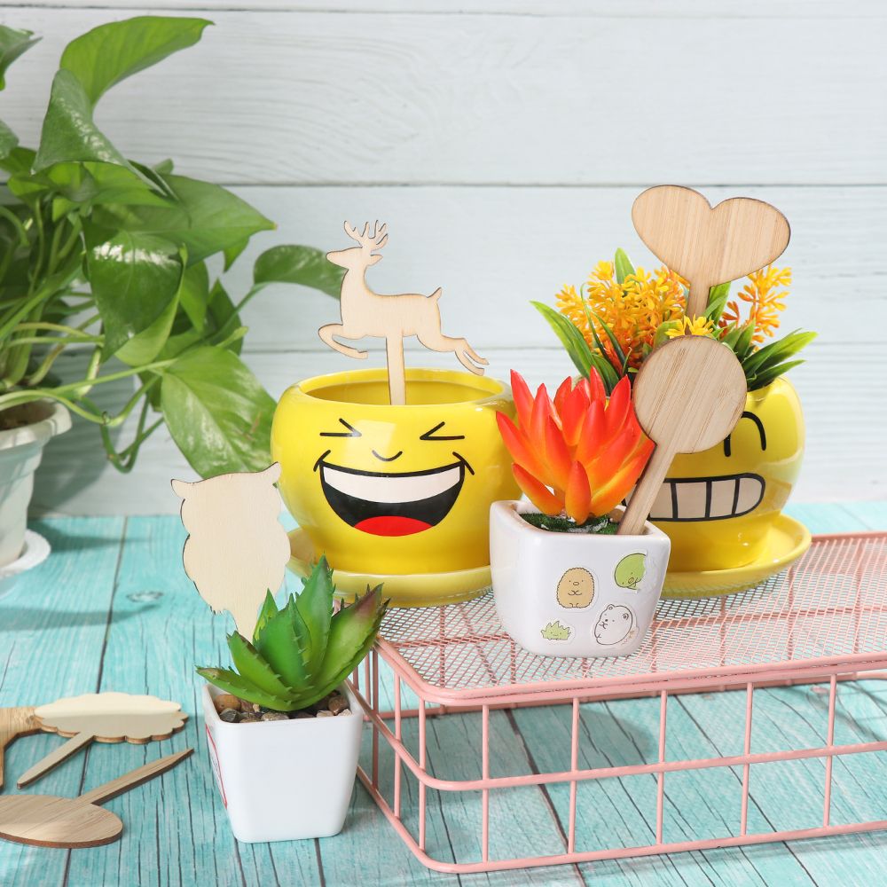 10PCS Eco-Friendly Bonsai Orna - مراجعة Gardening Tools Labeled وسعره