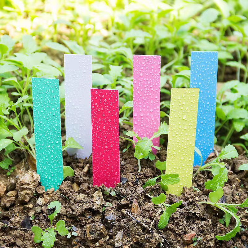 100Pcs Garden Plant Labels Pla - مراجعة Gardening Tools Labeled وسعره