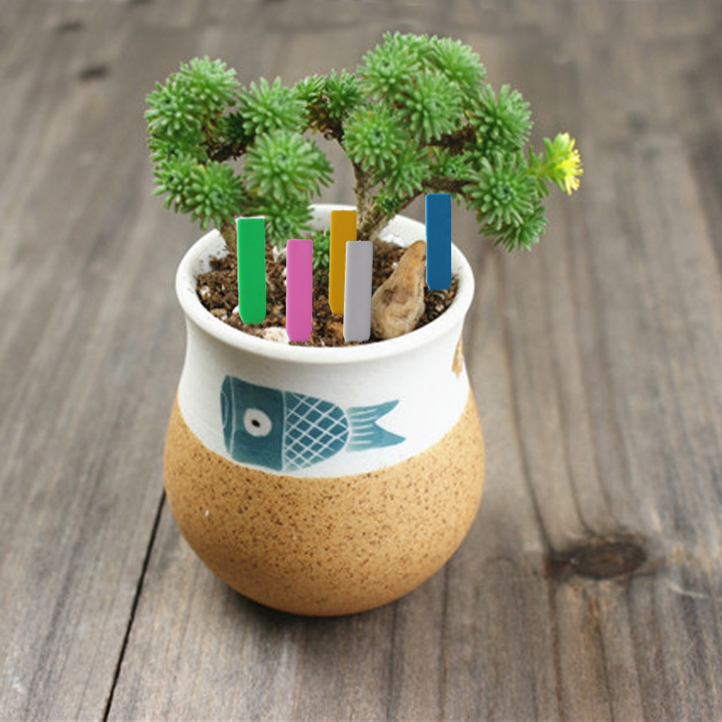 100Pcs Garden Plant Labels Pla - مراجعة Gardening Tools Labeled وسعره
