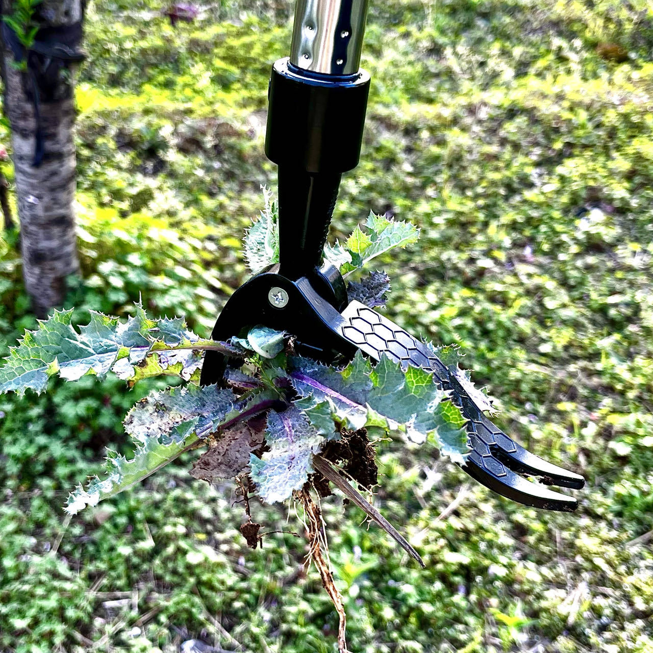 Save Labour Hand Metal Weed Ex - مراجعة Gardening Tools Needed وسعره