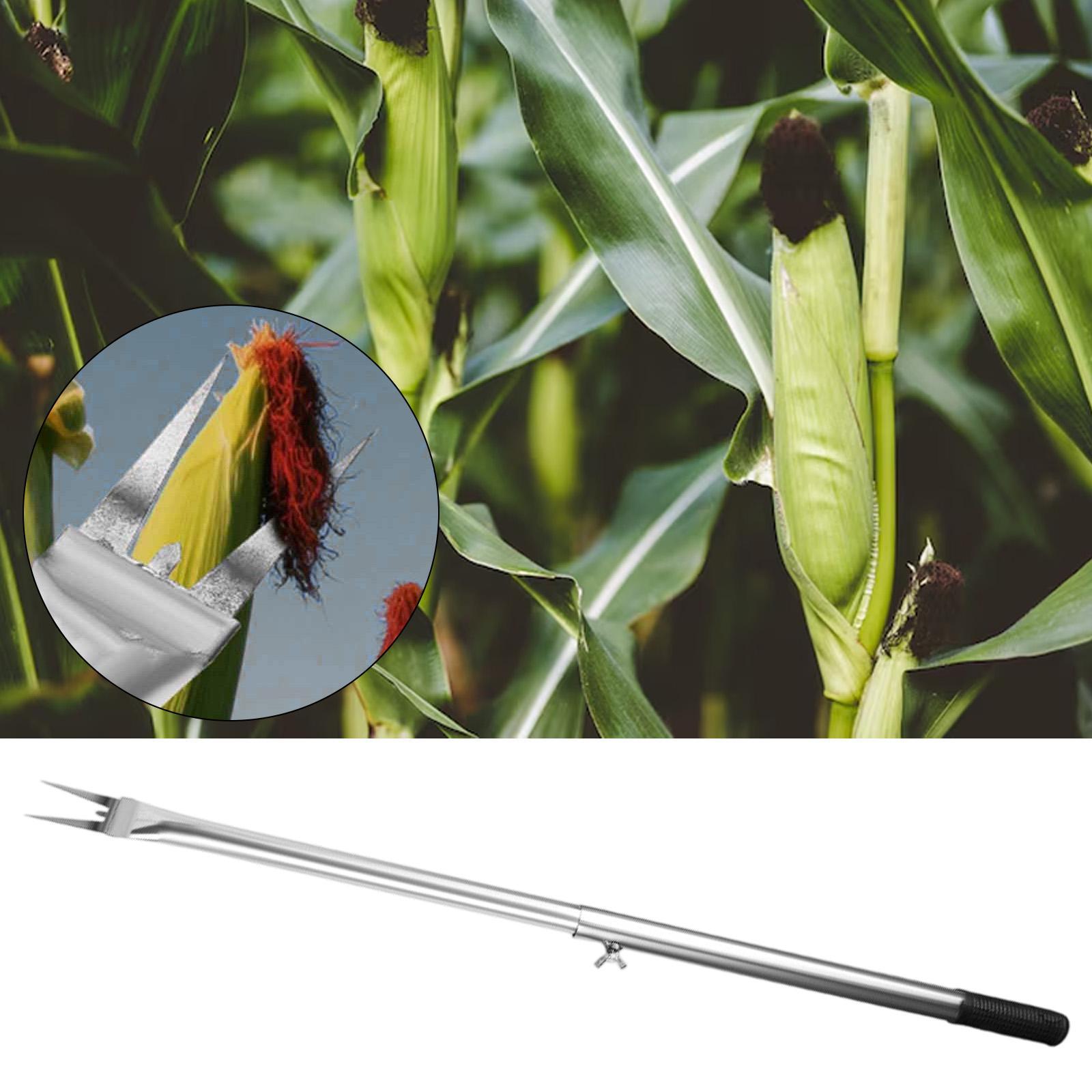 Corn Peeler Handle Remover Sha - مراجعة Gardening Tools Needed وسعره