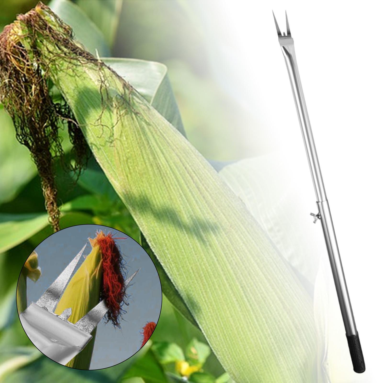 Corn Peeler Handle Remover Sha - مراجعة Gardening Tools Needed وسعره