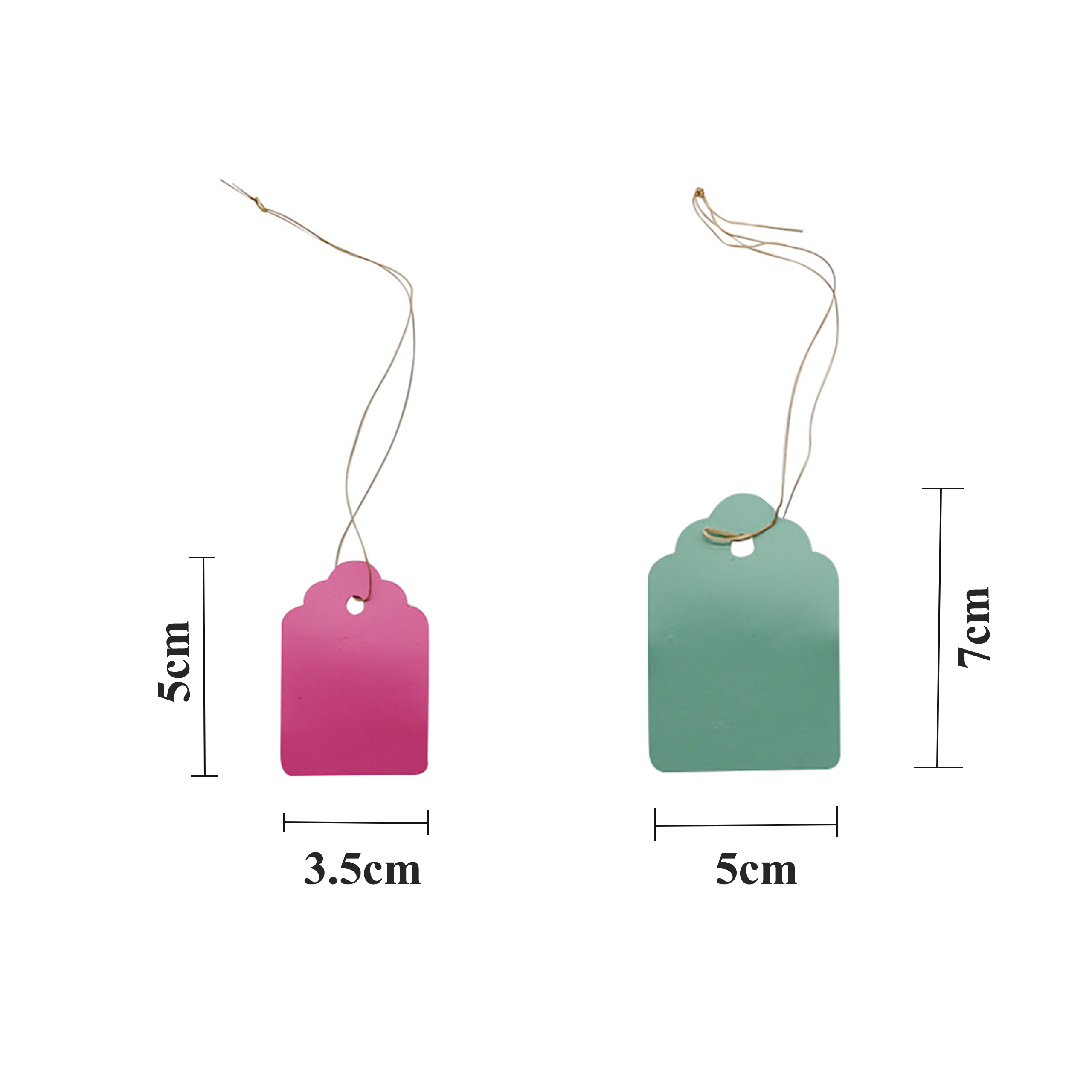 100Pcs/Lot Plants Hanging Plan - مراجعة Gardening Tools Labeled وسعره