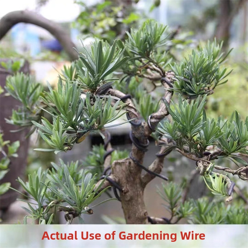1.5MM Bonsai Wires Aluminum Bo - مراجعة Gardening Tools Diy وسعره