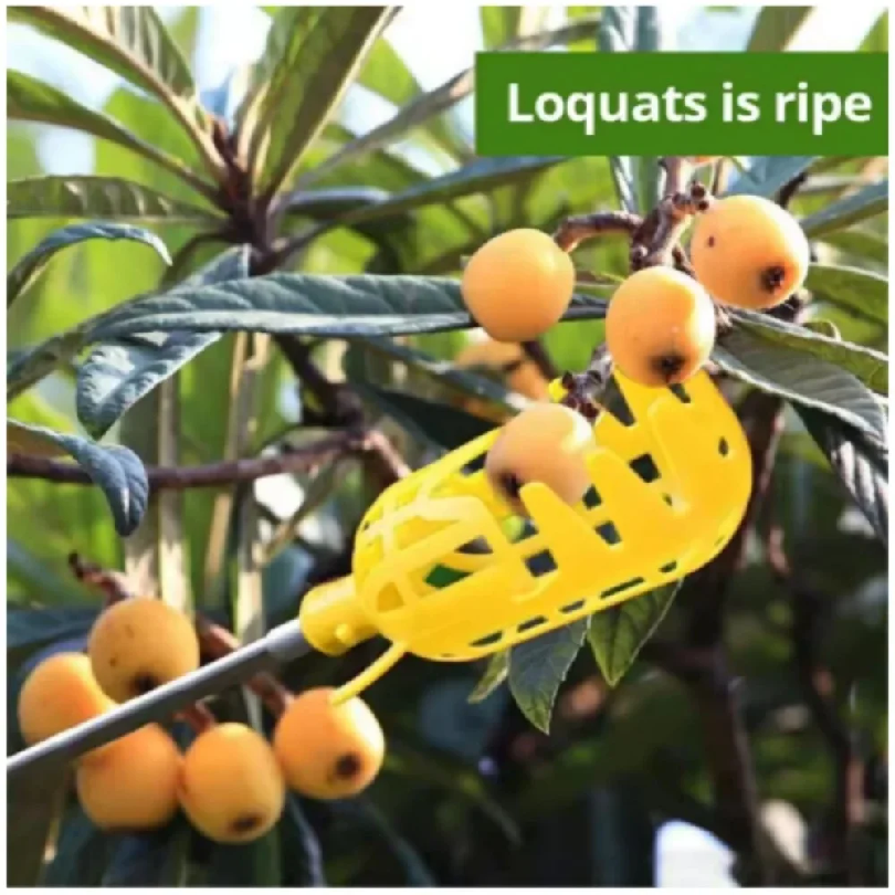Farm Garden Picking Tools Frui - مراجعة Gardening Tools Rack وسعره
