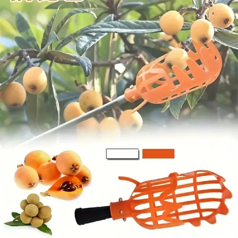 Farm Garden Picking Tools Frui - مراجعة Gardening Tools Rack وسعره