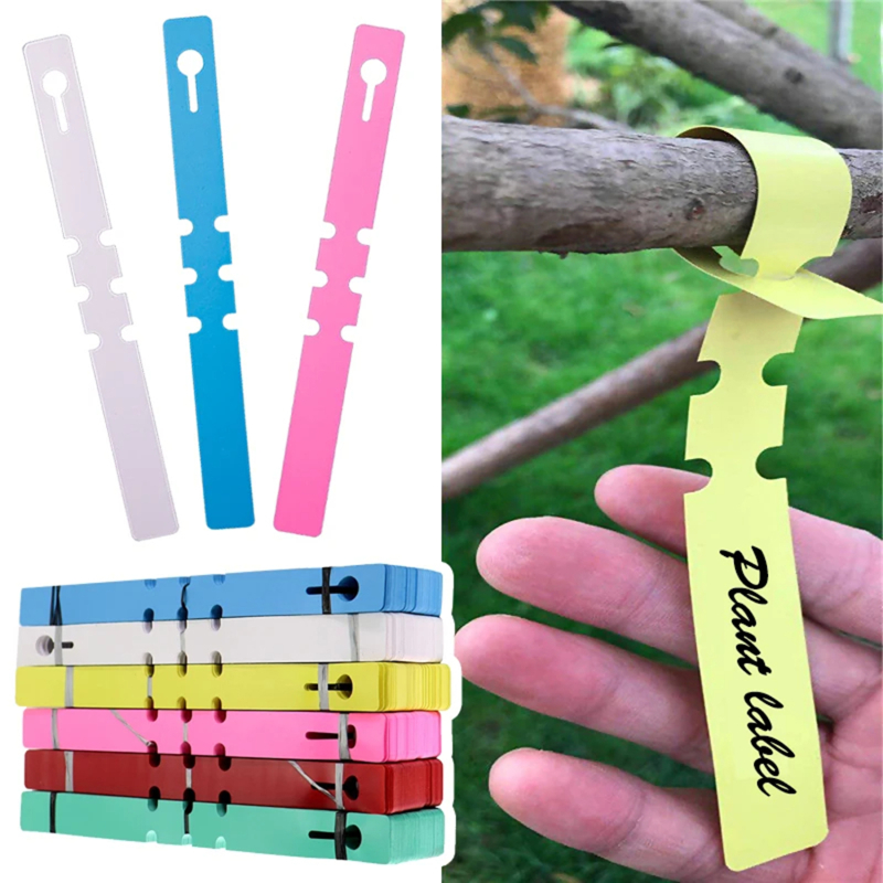 100-200pcs Waterproof Plant Ma - مراجعة Gardening Tools Labeled وسعره