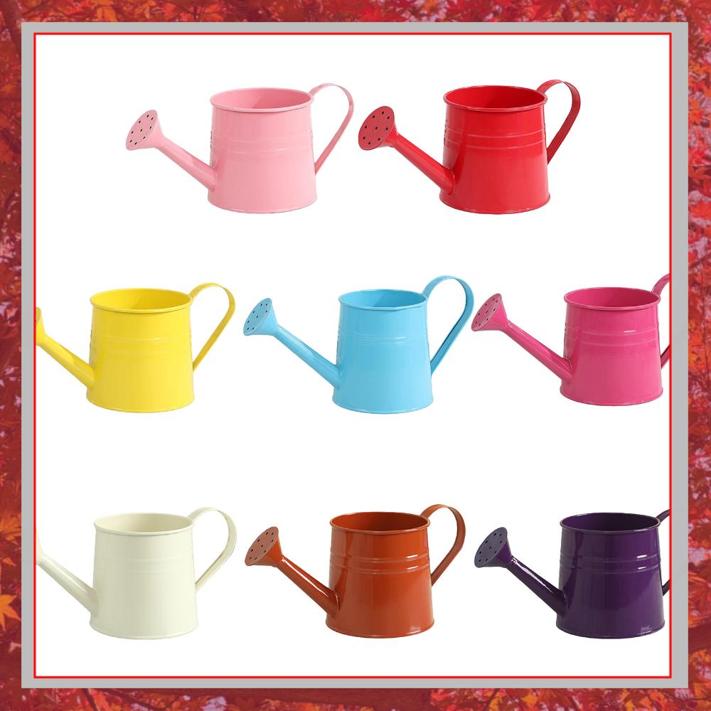 Flower Long Spout Water Can fo - مراجعة Watering Can Long Spout وسعره