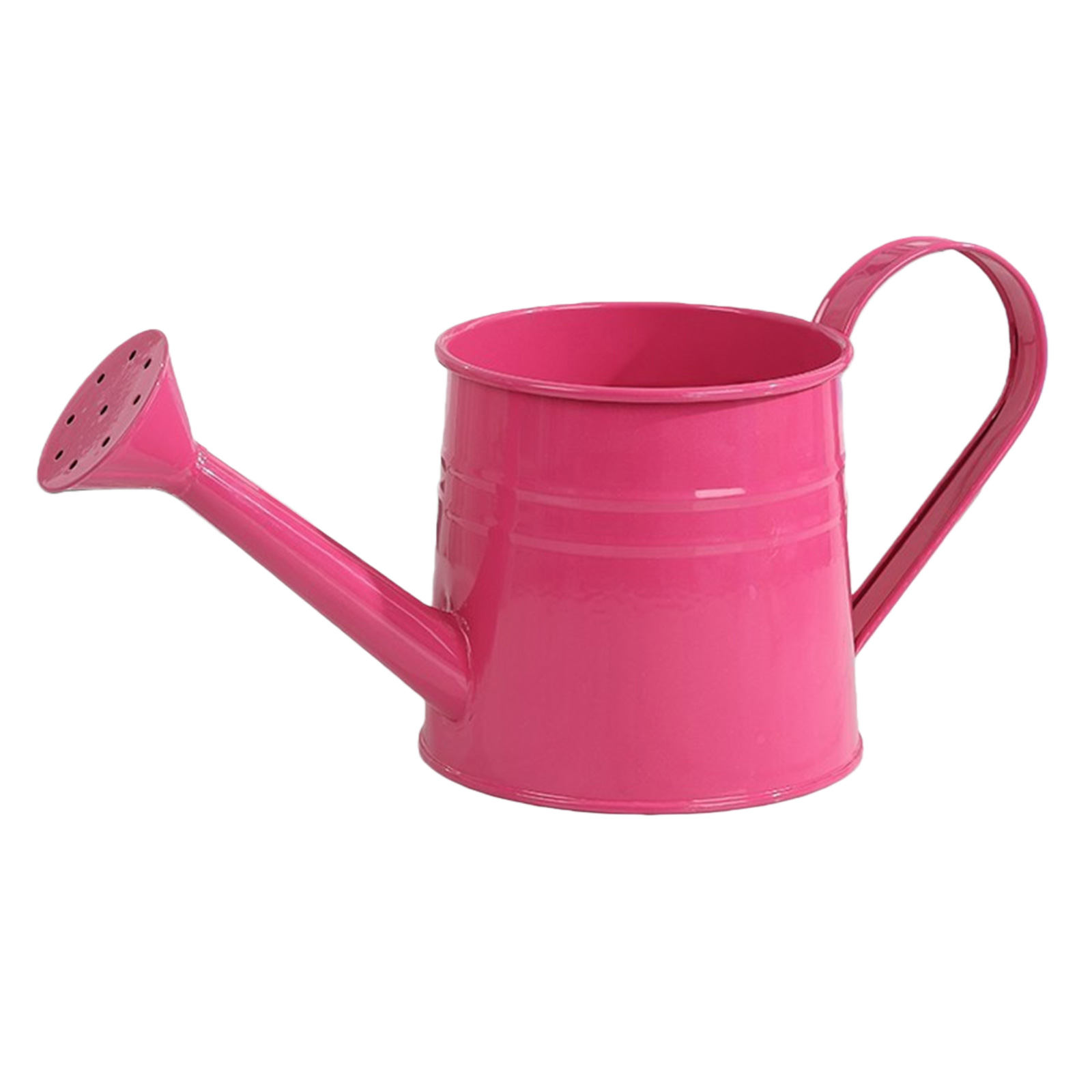 Flower Long Spout Water Can fo - مراجعة Watering Can Long Spout وسعره