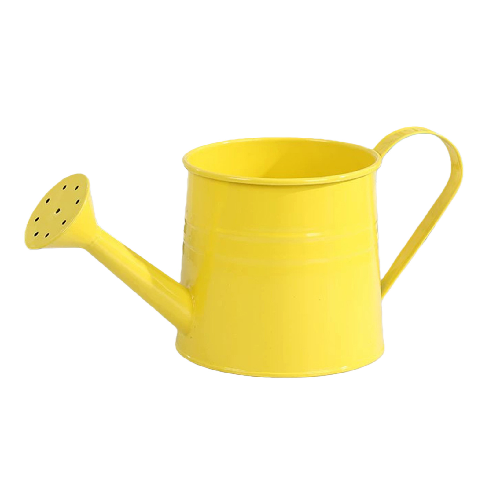 Flower Long Spout Water Can fo - مراجعة Watering Can Long Spout وسعره