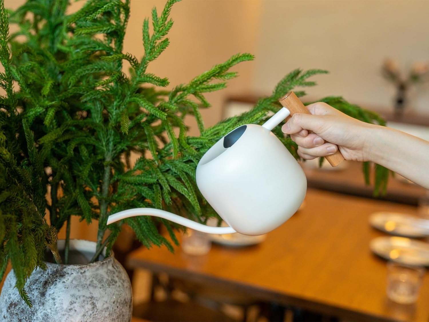 1.2L/41oz Metal Watering Can w - مراجعة Watering Can Long Spout وسعره