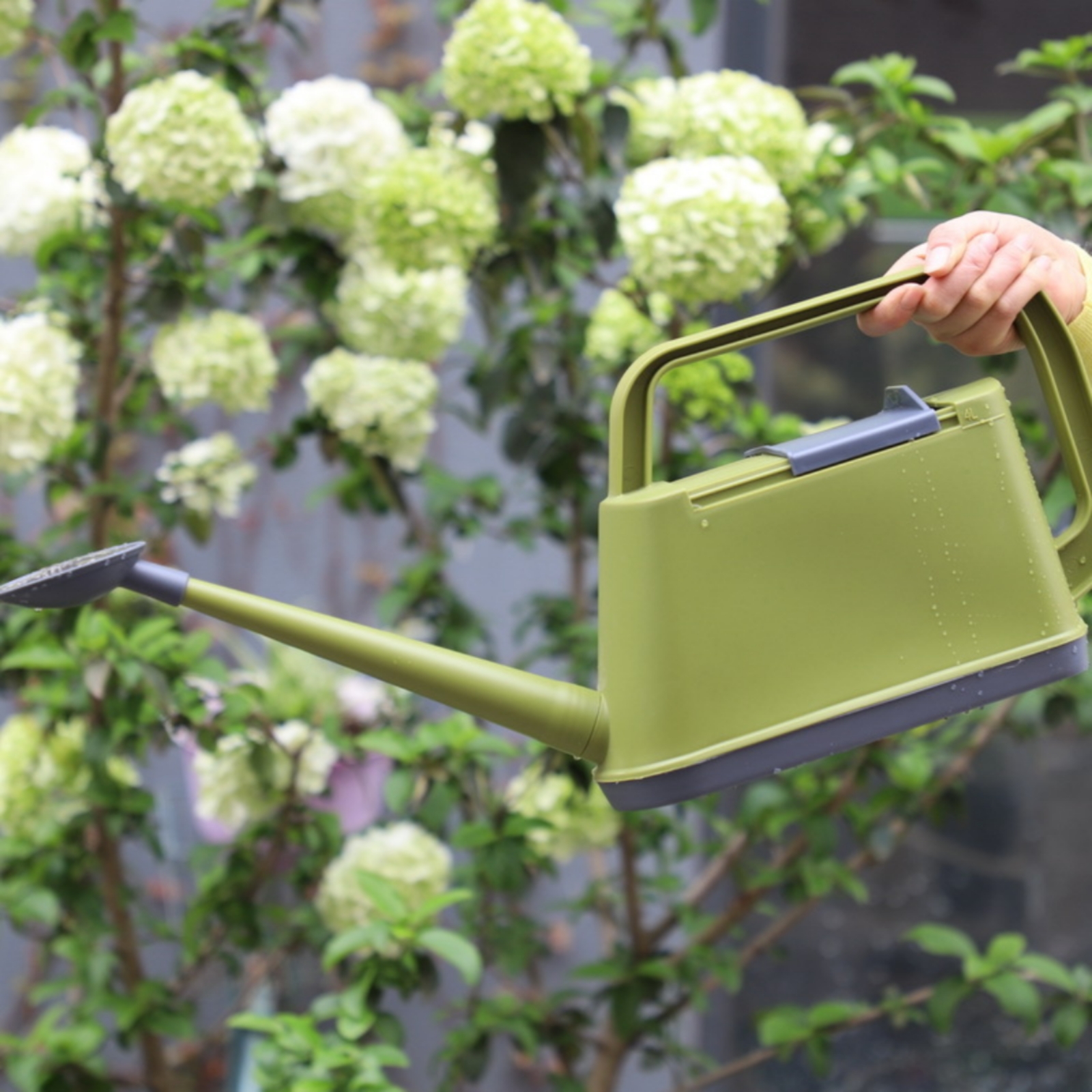 Plastic Watering Can Integrate - مراجعة Watering Can Long Spout وسعره