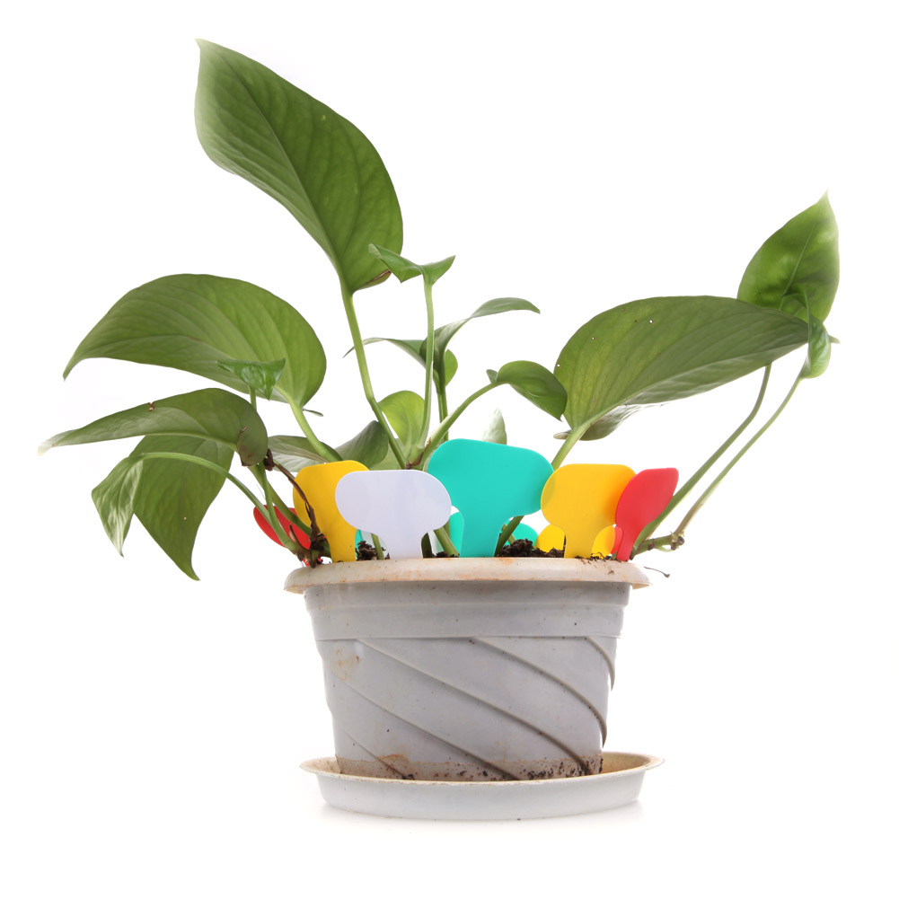T-Shape Plastic Plant Tags Nur - مراجعة Gardening Tools Labeled وسعره