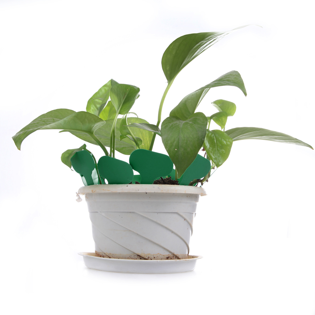T-Shape Plastic Plant Tags Nur - مراجعة Gardening Tools Labeled وسعره