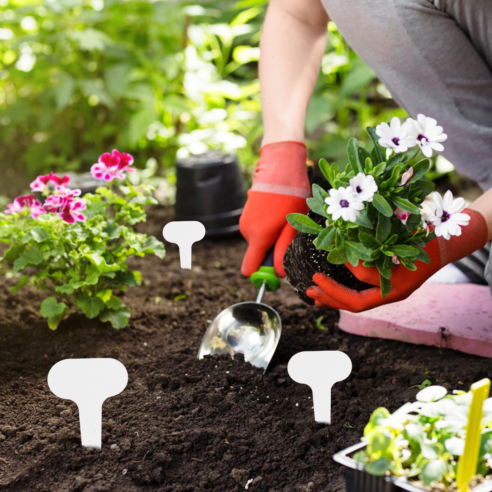 Gardening Markers Plant Tags 1 - مراجعة Gardening Tools Labeled وسعره