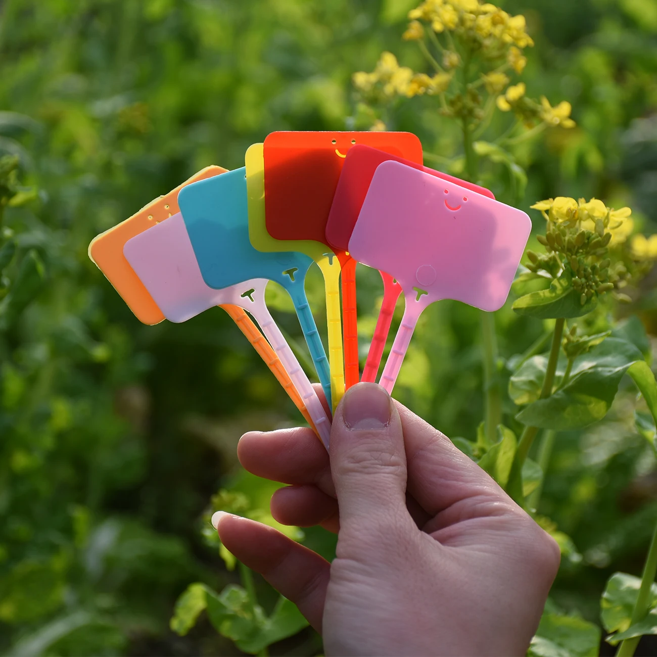 50PCS Waterproof Garden Plant  - مراجعة Gardening Tools Labeled وسعره