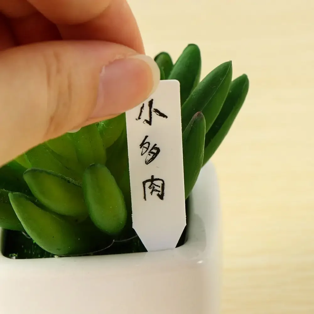 100Pcs Reusable Classification - مراجعة Gardening Tools Labeled وسعره