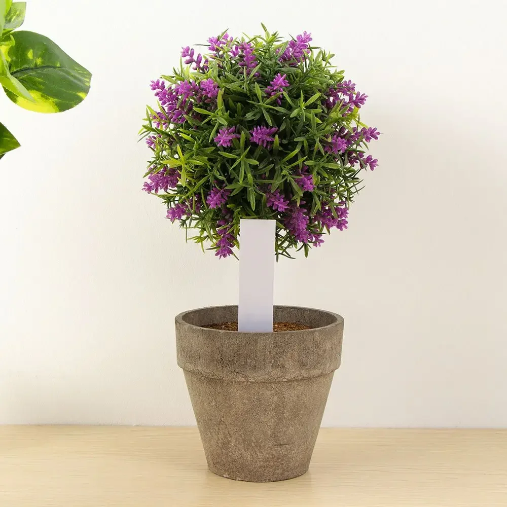 100Pcs Reusable Classification - مراجعة Gardening Tools Labeled وسعره