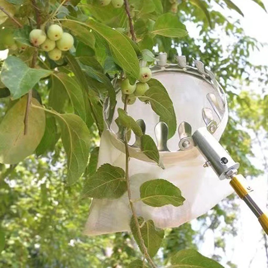 Professional Berry Picker Tool - مراجعة Gardening Tools Rack وسعره
