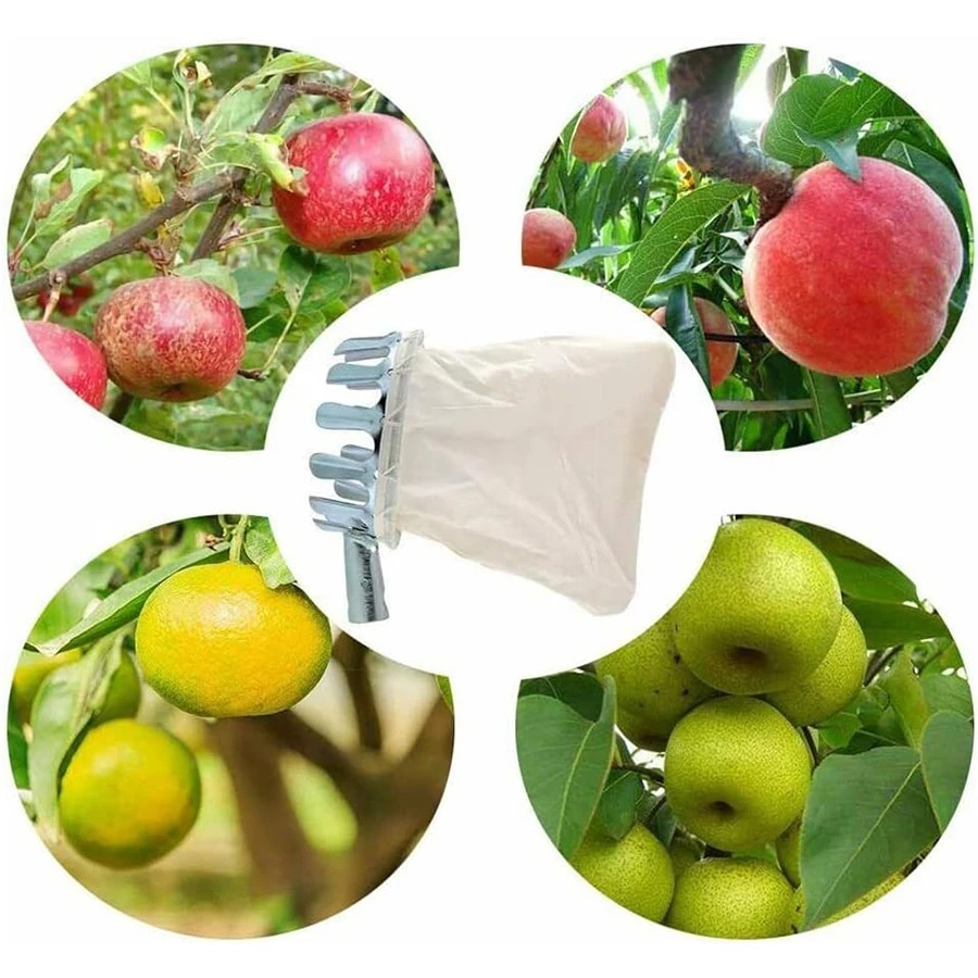 Professional Berry Picker Tool - مراجعة Gardening Tools Rack وسعره
