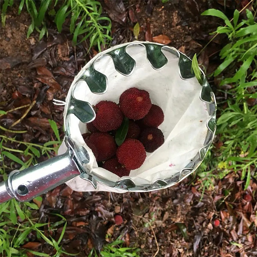 Professional Berry Picker Tool - مراجعة Gardening Tools Rack وسعره