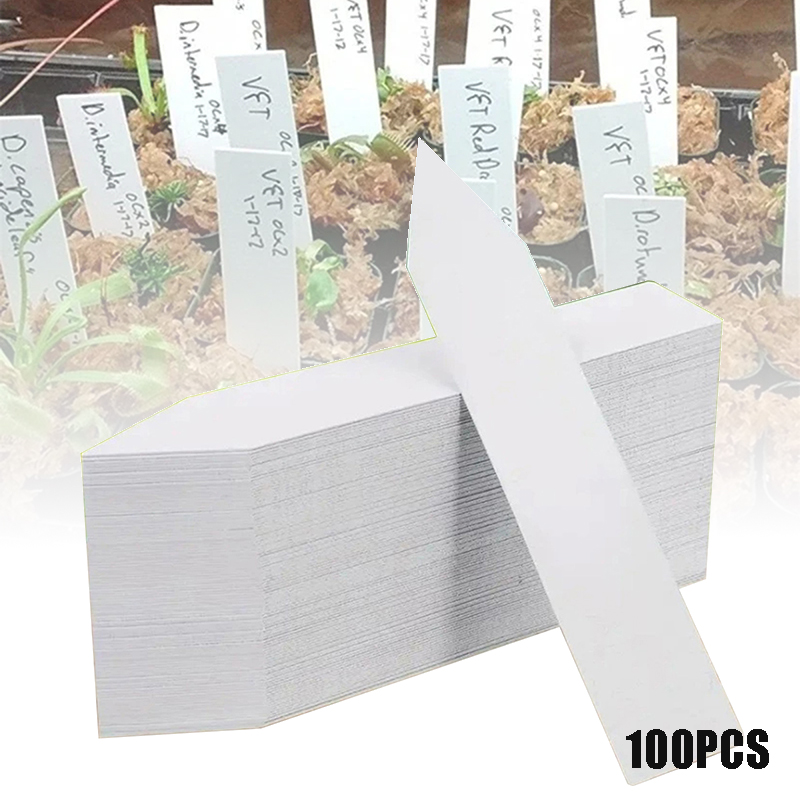 100pcs Garden Plant Labels Pla - مراجعة Gardening Tools Labeled وسعره