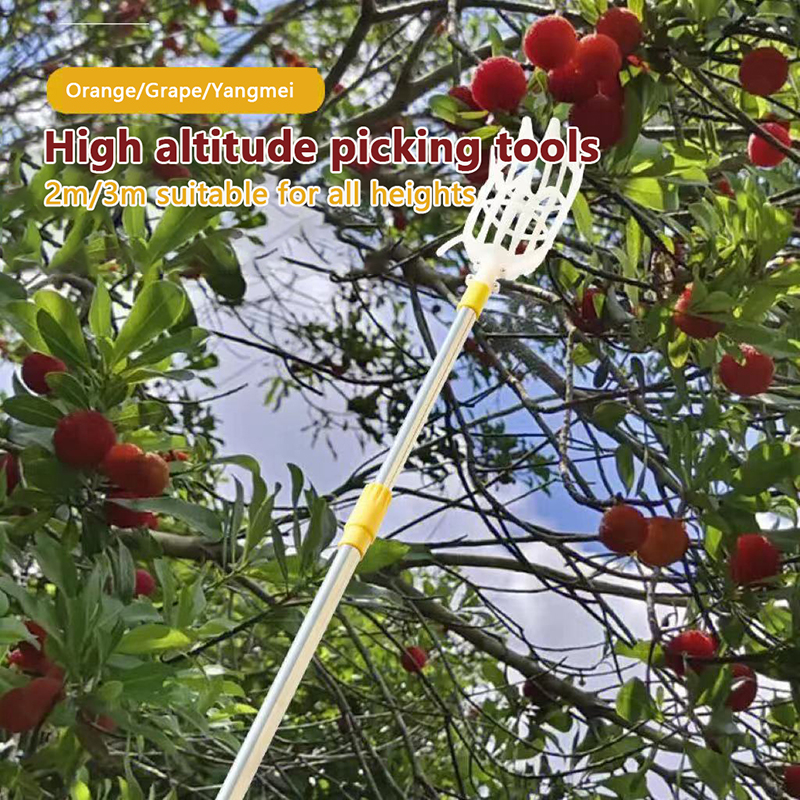 Fruit Picker Picking Loquat Pi - مراجعة Gardening Tools Rack وسعره