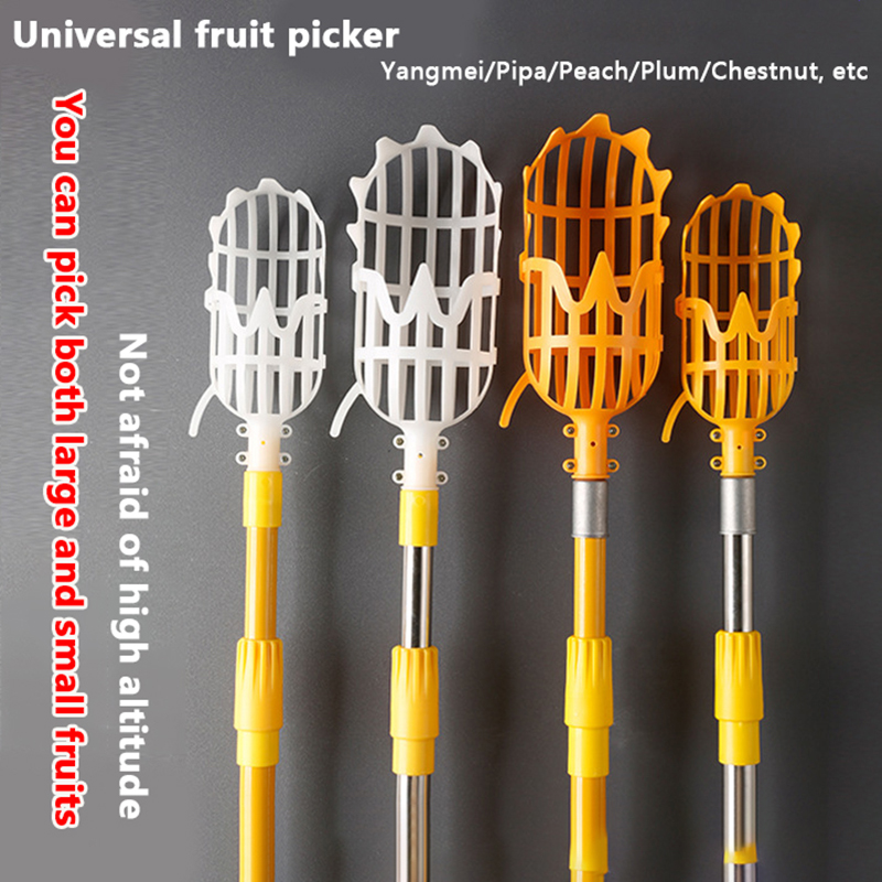 Fruit Picker Picking Loquat Pi - مراجعة Gardening Tools Rack وسعره