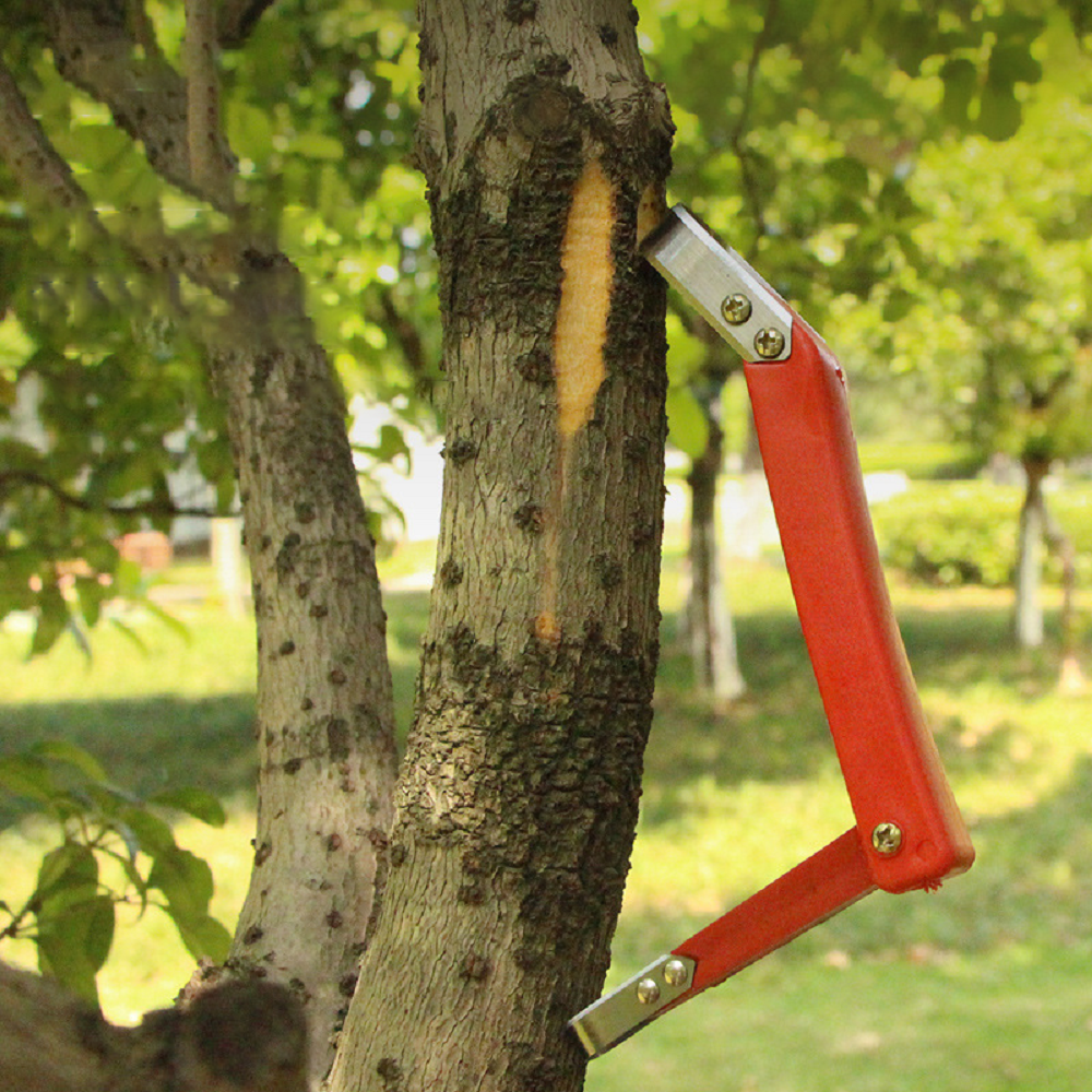Fruit Tree Rot Scraping Bark K - مراجعة Gardening Tools Knife وسعره
