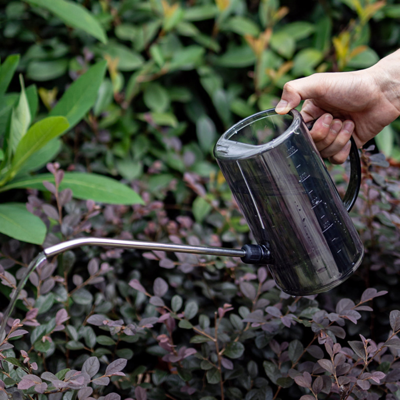 Long Spout Watering Can Indoor - مراجعة Watering Can Long Spout وسعره